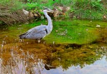 Letters from our readers in Wellington and beyond