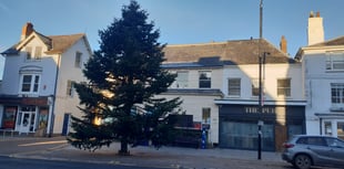 Trio of trees signal Christmas nearly here