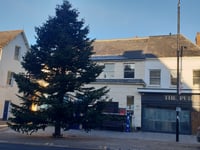 Trio of trees signal Christmas nearly here