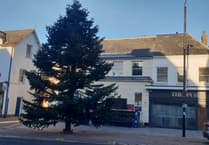 Trees are up, lights are ready, and Santa has a grotto - it's Christmas in Wellington