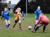 Wellington Wildcats home to Bath City Development