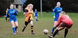 Wellington Wildcats home to Bath City Development