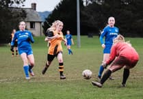 Wellington Wildcats home to Bath City Development