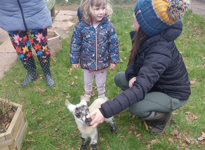 Stawley Pre-school children enjoy local farmers bringing their animals to visit.