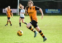 Wellington Wildcats up to second in Somerset Women's League