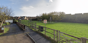 £10,000 approved for Wellington play area repairs