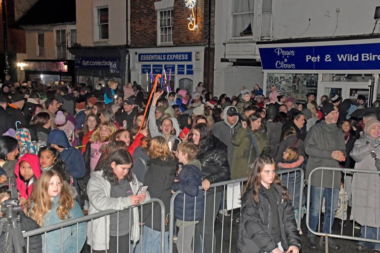 A large crowd came to Wellington to see the Christmas lights switch on.