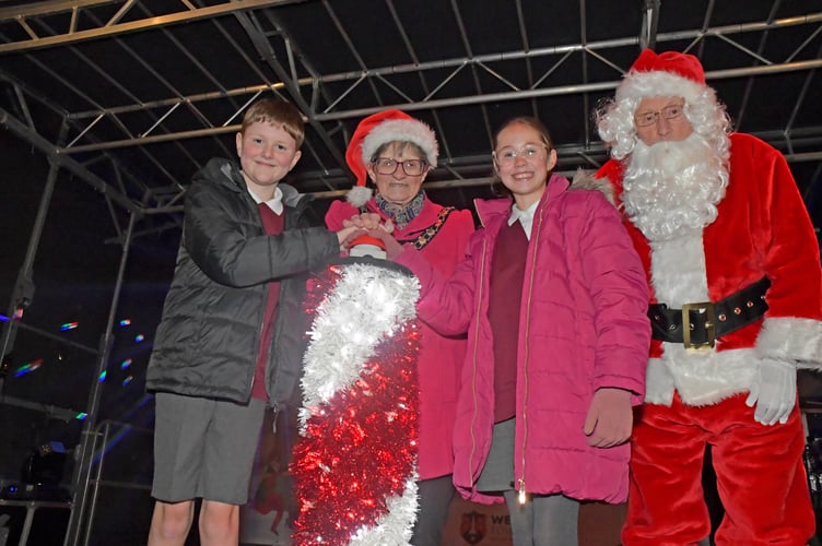 The Wellington Christmas lights switch on happened on Saturday night (November 29).