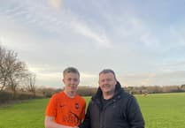 Wellington Town stung by Tone Youth Wasps