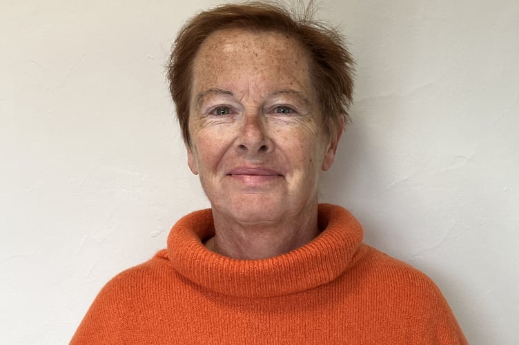 Wellington town Cllr Sue Fox has become the sixth to resign from the council.