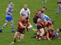 Wellington in bid to end losing rugby run 