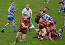 Wellington in bid to end losing rugby run