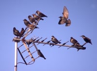 Letters from our readers