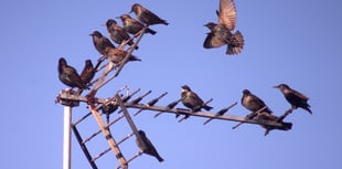 Letters from our readers