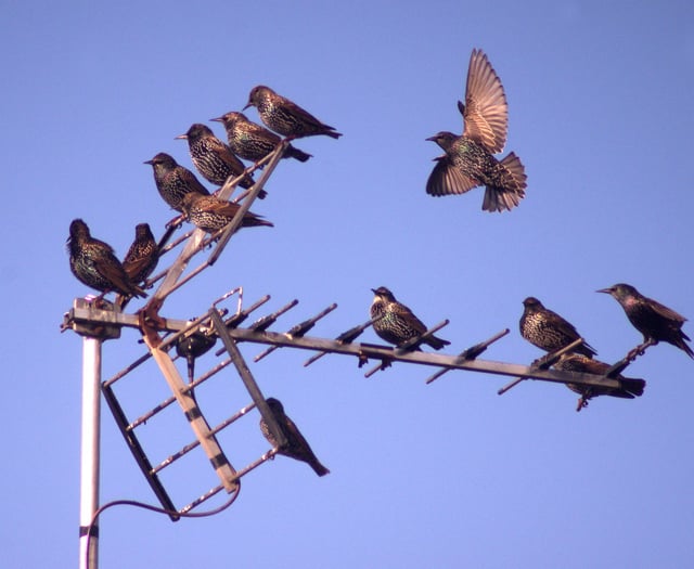 Letters from our readers