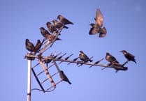 Letters from our readers