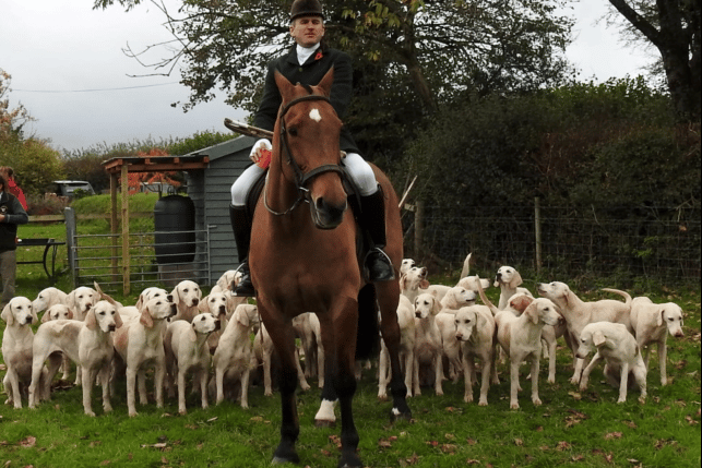 Wiveliscombe will see a traditional hunt meet on New Year's Day instead of Boxing Day this year.