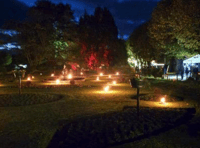 Garden of Light success could see 2026 repeat