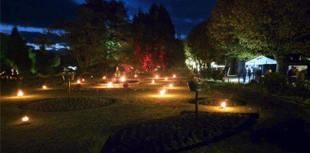 Garden of Light success could see 2026 repeat