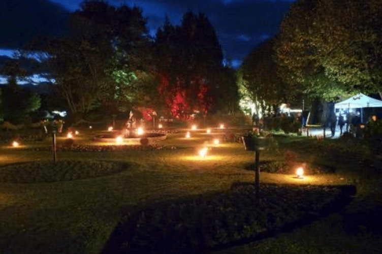 A fire garden formed part of Wellington Town Council's Garden of Light event in the town's park.
