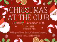 Wellington play at home to top of the table Clevedon Town