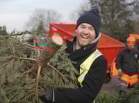 Eco-friendly Christmas tree recycling by hospice