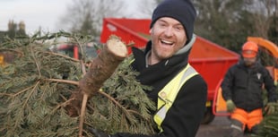 Eco-friendly Christmas tree recycling by hospice