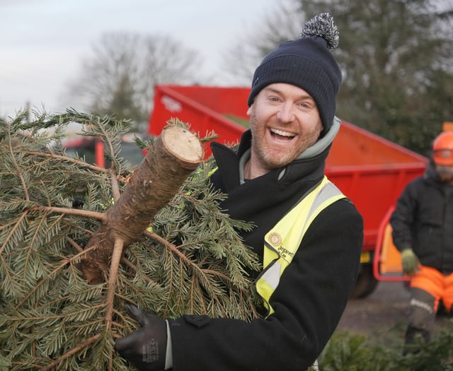 Eco-friendly Christmas tree recycling by hospice