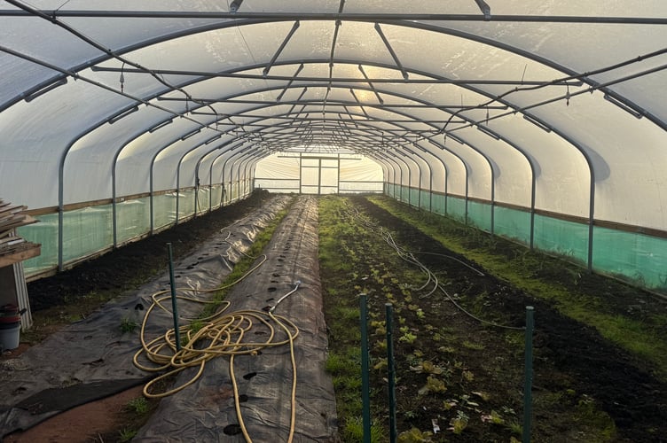 The polytunnel that was erected this year.