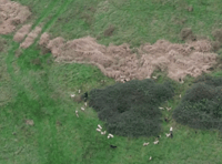 Trio charged after illegal hunting allegation