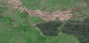 Police investigate film of alleged illegal fox hunting