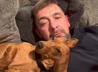 Man says traffic calming measures needed after puppy killed