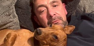 Man says traffic calming measures needed after puppy killed