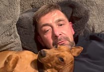 Man says traffic calming measures needed after puppy killed