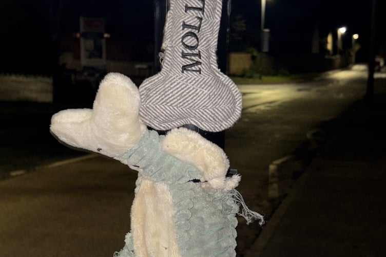 A memorial to Molly has been placed on the Tonedale crossing.