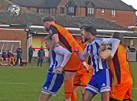 Wellington looking to end losing rugby run 