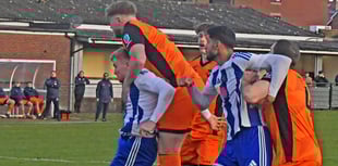 Wellington looking to end losing rugby run 