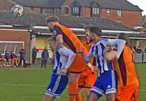 Wellington looking to end losing rugby run