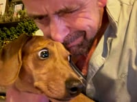 Councillor pledges to investigate crossing improvements