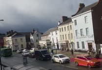 Police searching for man and woman after Wellington town centre assault