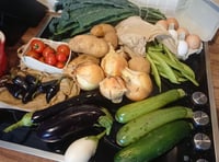 In 2010: Predicting Wellington fifteen years in the future