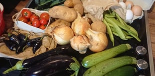 In 2010: Predicting Wellington fifteen years in the future