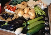 In 2010: Predicting Wellington fifteen years in the future