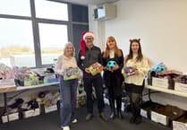 Christmas Sparkle charity helps Wellington children in need with developer's support