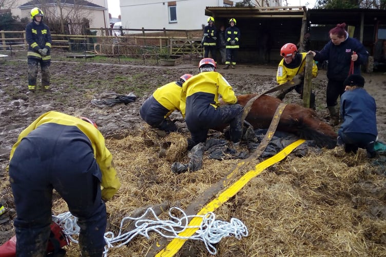 A previous horse rescue by Devon and Somerset Fire and Rescue crews.