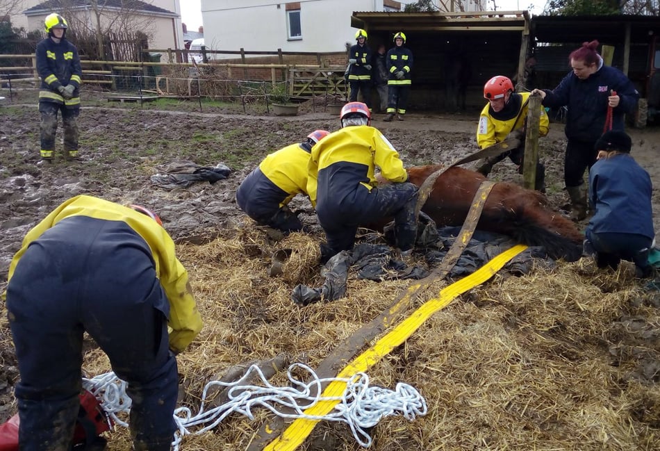 Firefighters called to help trapped horse