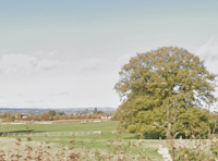 Pegasus housing: No extension to consultation deadline 