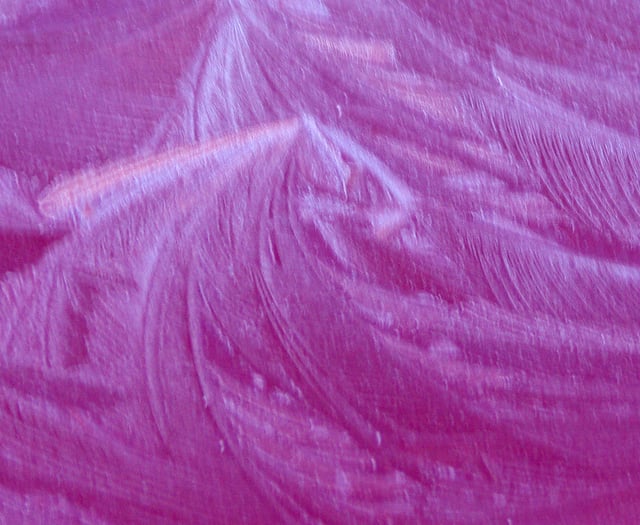 Letters to the Editor