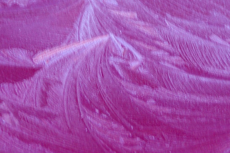 Readers picture WWN: Dave Hellyer of Wellington said: "These ice patterns on a car bonnet in Barn Meads Road reminded me of an ice dragon."