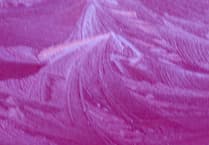 Letters to the Editor